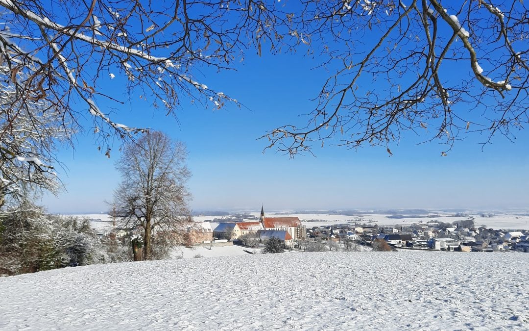 Nächster Schlachttermin im Februar 2025